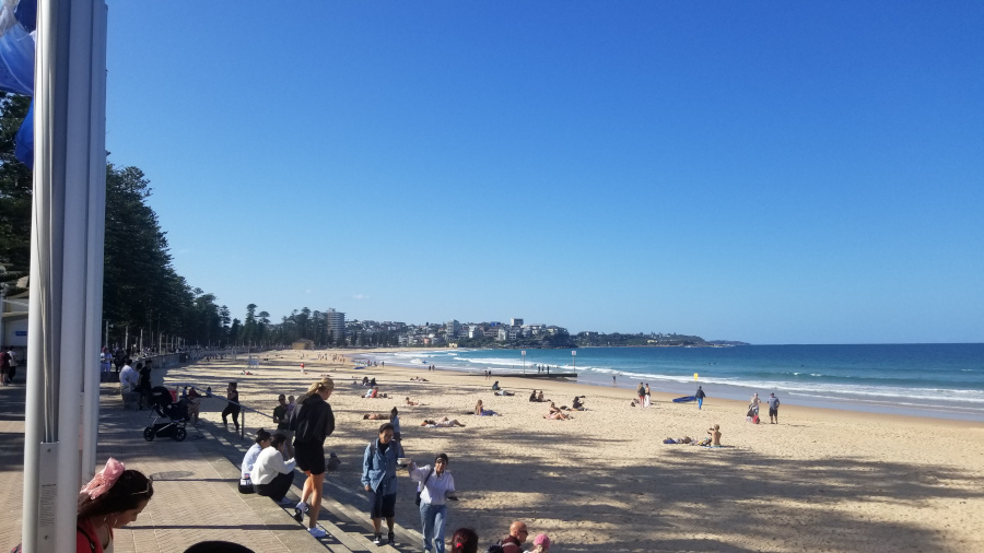 Manly Beach!