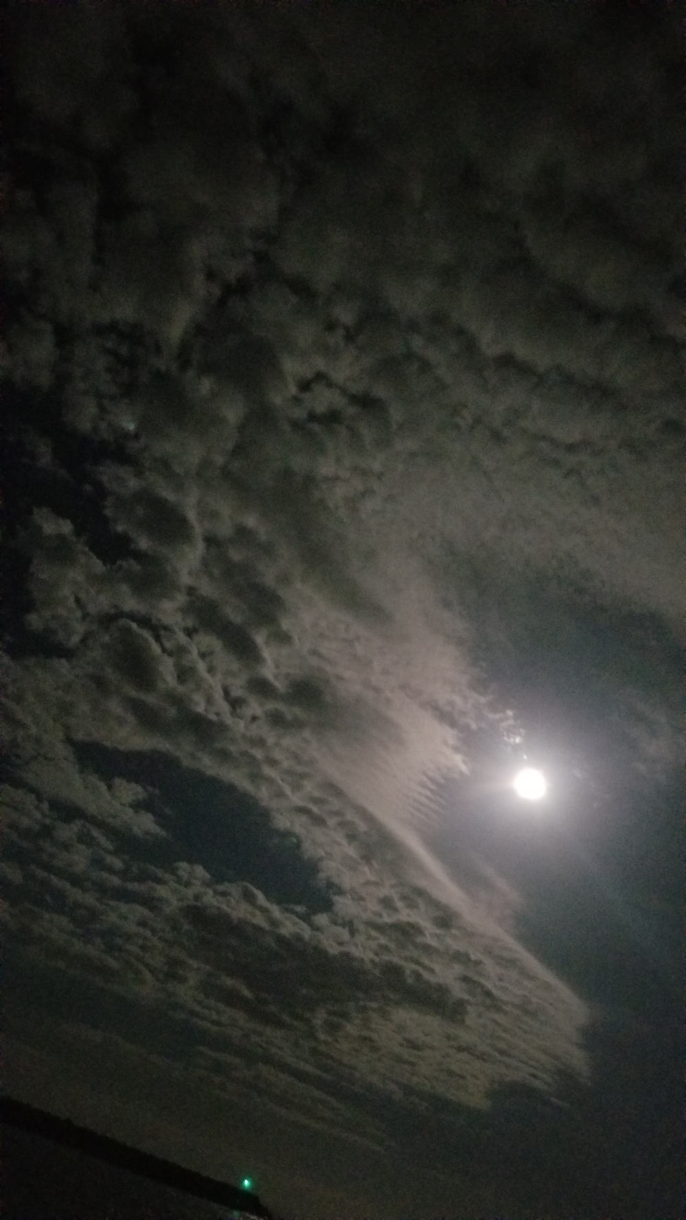 the night sky